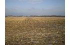 Property photo 3 - 71 Acres Offered in 2 Tracts